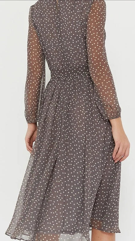 Polka Dot Long Sleeve Chiffon Dress